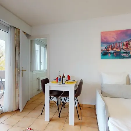 Comfortable Studio 10 Min. From Montreux #100